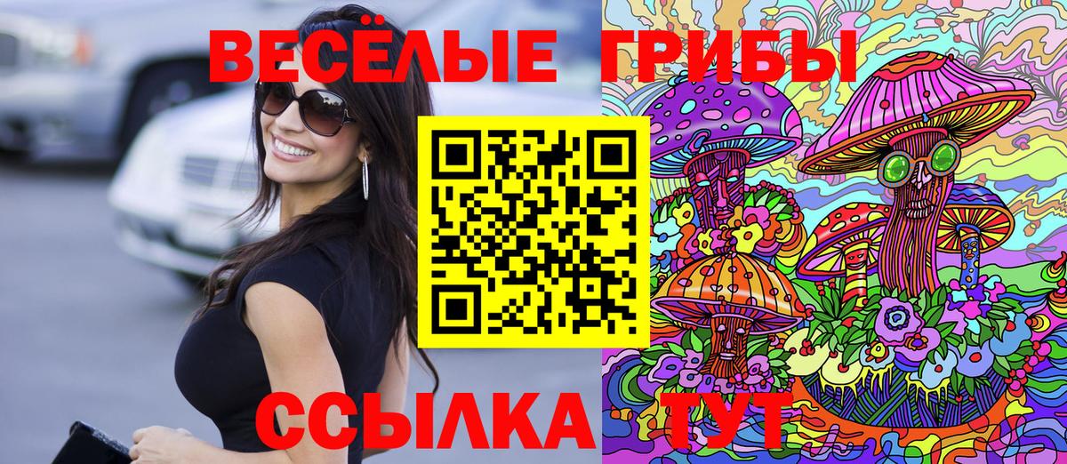 Псилоцибиновые грибы GOLDEN TEACHER  Вход с VPN  Златоуст 