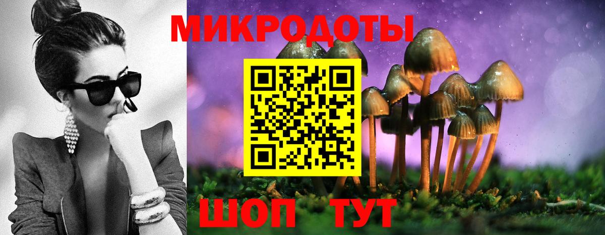 Псилоцибиновые грибы ЛСД Златоуст